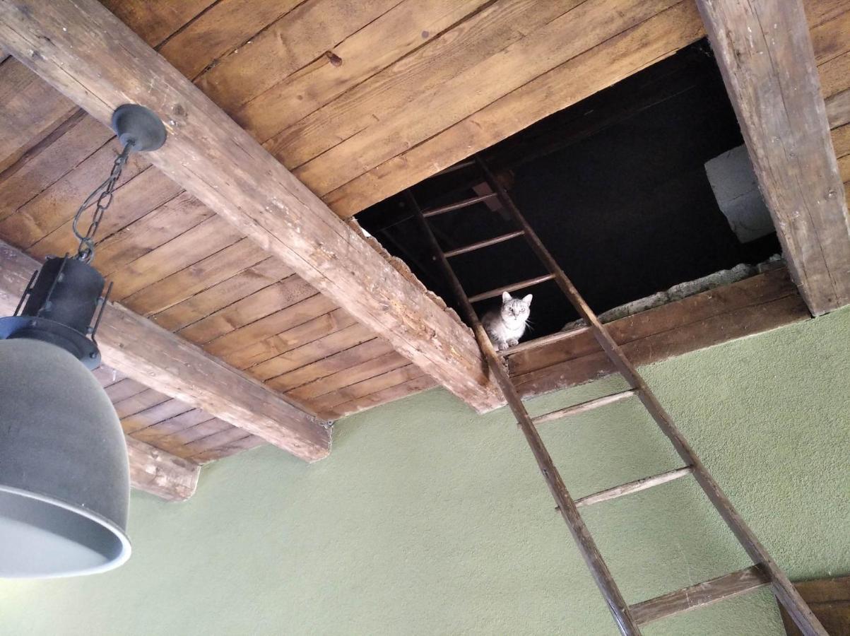 Ubytovani U Malinkovicu Břeclav エクステリア 写真